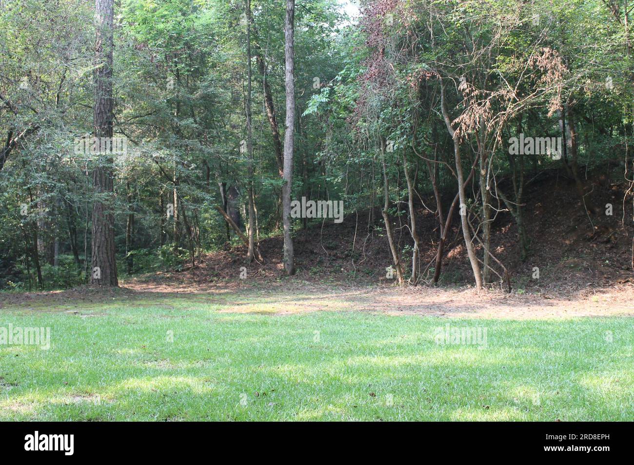 Cliffs of the Neuse State Park Stock Photo Alamy