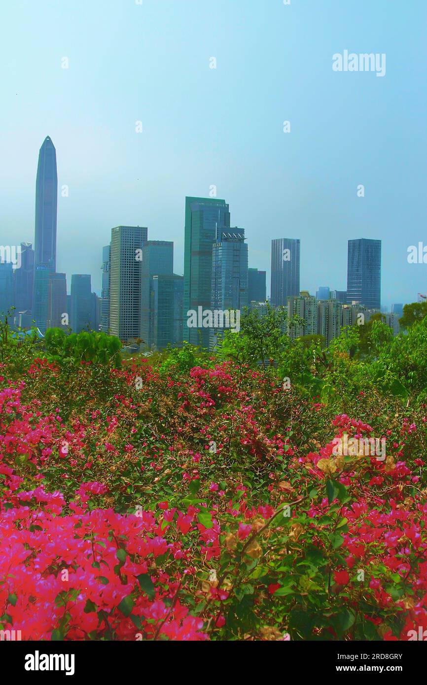 Marvel at the beauty of a captivating skyscraper in China, its sleek silhouette standing tall beneath a vibrant blue sky, basking in the glorious sunl Stock Photo