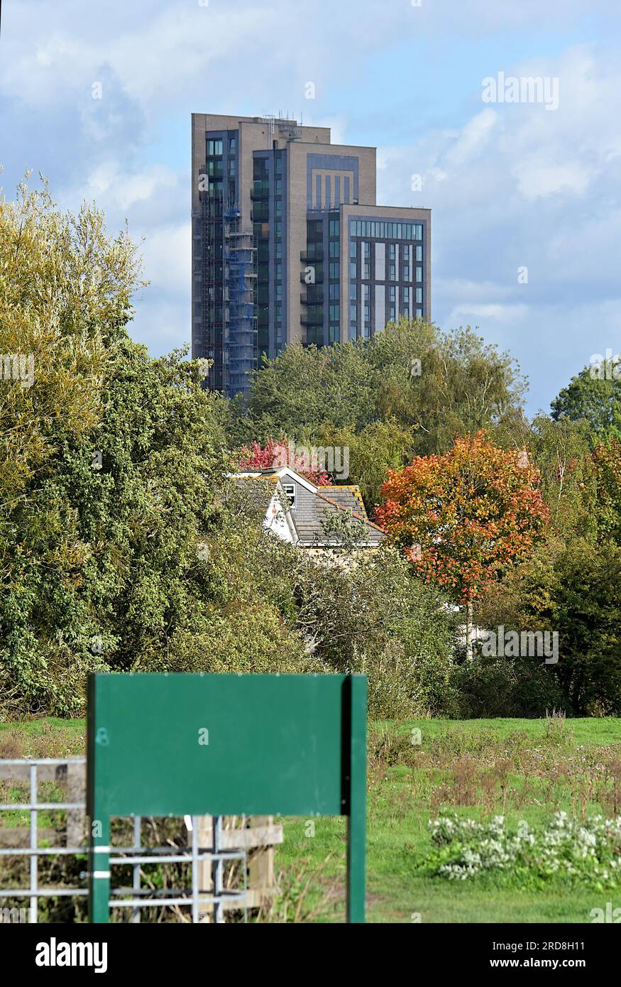 Grren tree hires stock photography and images Alamy
