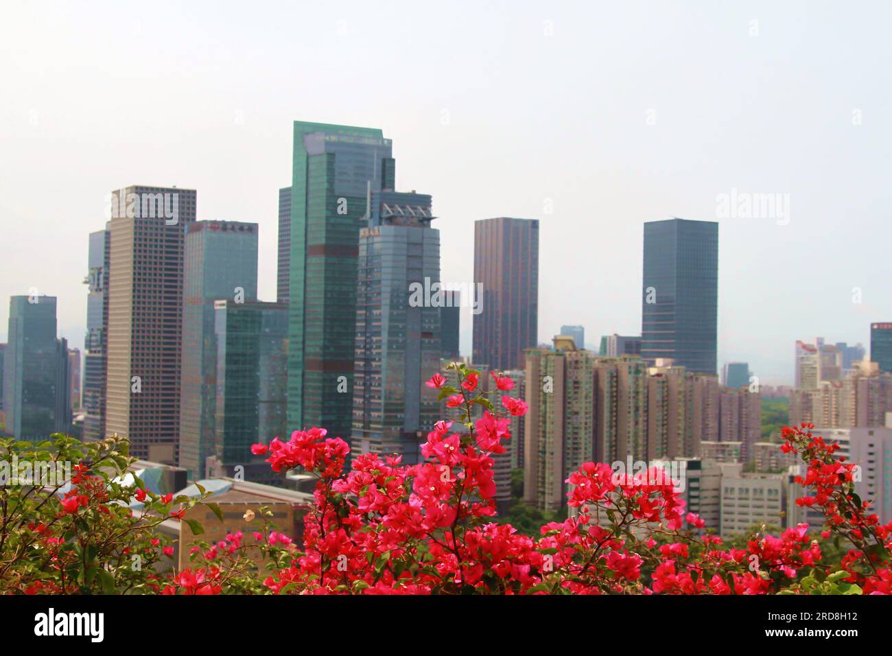 Marvel at the beauty of a captivating skyscraper in China, its sleek silhouette standing tall beneath a vibrant blue sky, basking in the glorious sunl Stock Photo