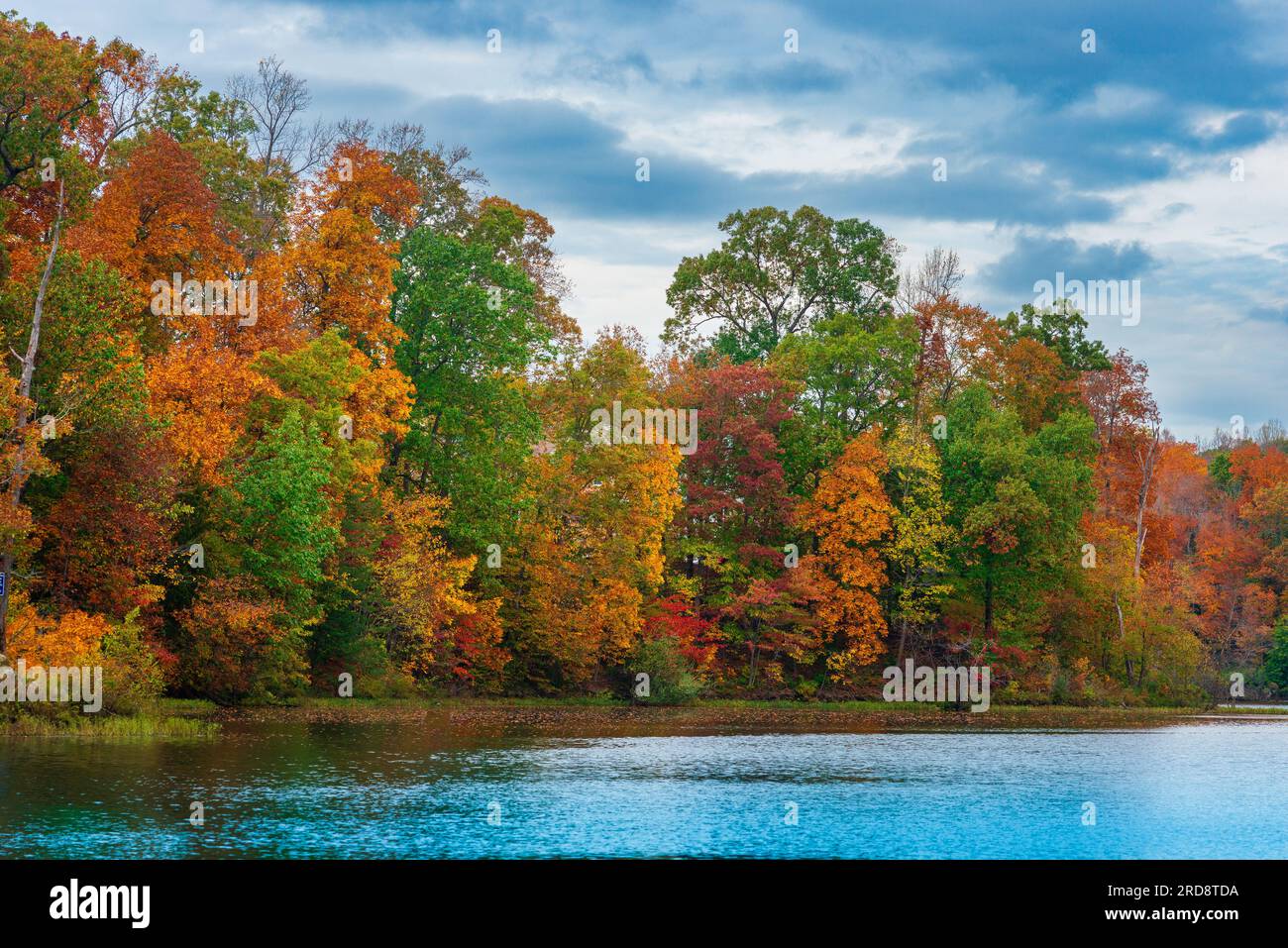 Autumn images hi-res stock photography and images - Alamy