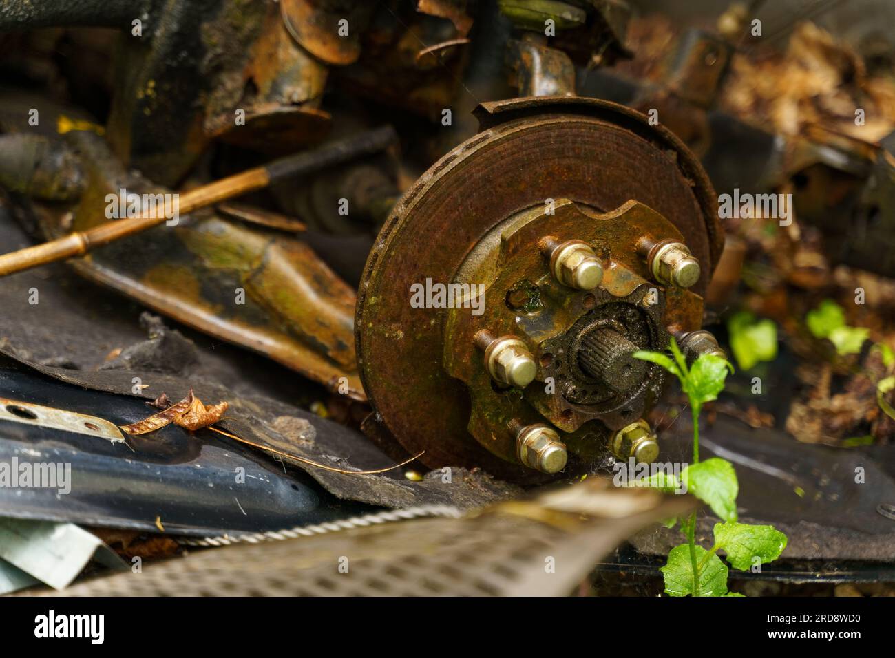 Old rusty parts of the front axle of a car abandoned in the forest
