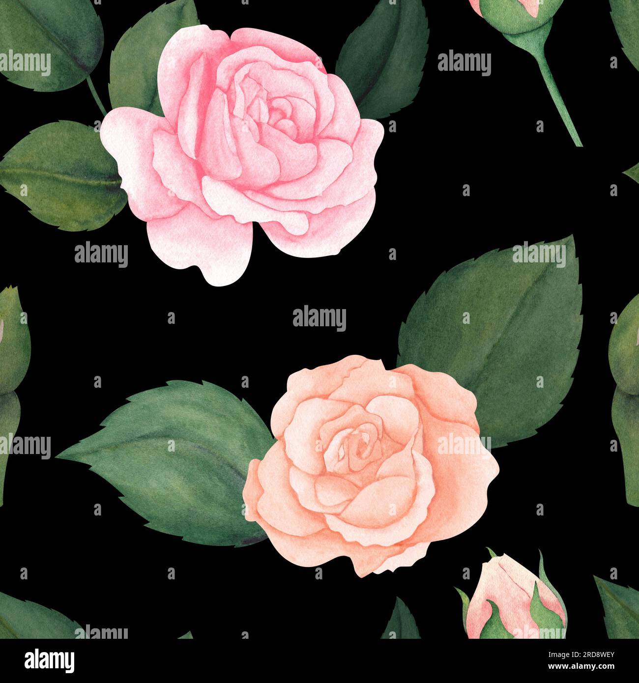 Seamless watercolor floral pattern - pink blush flowers elements, green leaves branches on black background. for wrappers, wallpapers, postcards, gree Stock Photo