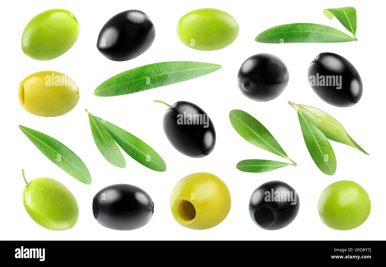 Collection of green and black olive fruits and olive leaves isolated on