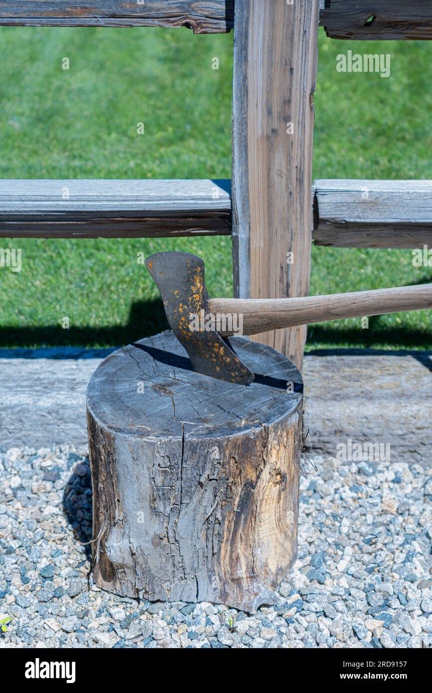 Axe  cutting a wood stump or resting on the stump of wood. Axe has a blade that is rusty and a wooden handle. A fence is nearby in the yard. Stock Photo