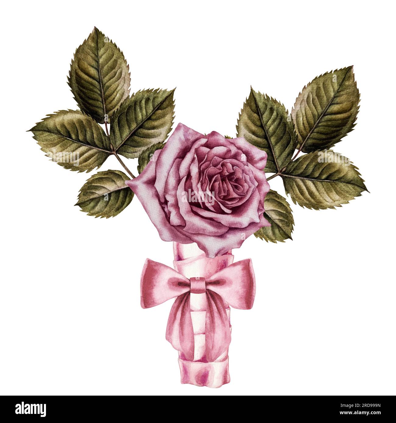 Watercolor bouquet of pink roses and green leaves. Design for Valentine ...