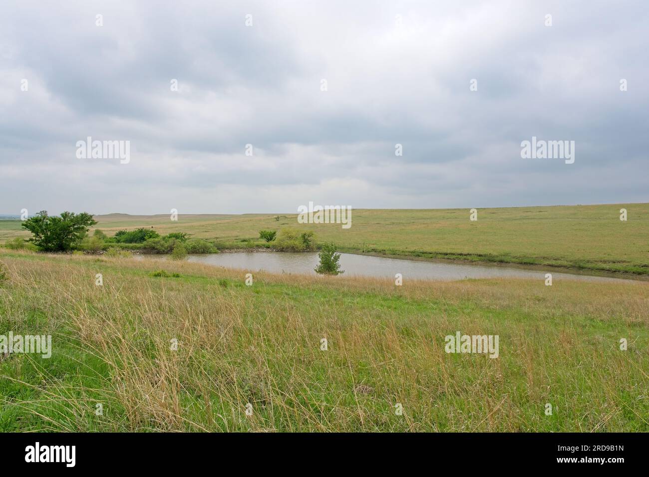 Watering hole in depression of open pastures under a moody sky in  Tallgrass Prairie National Preserve Stock Photo