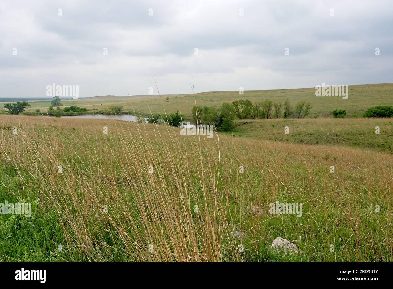 Rolling pasture lands in Tallgrass Prairie National Preserve Stock Photo