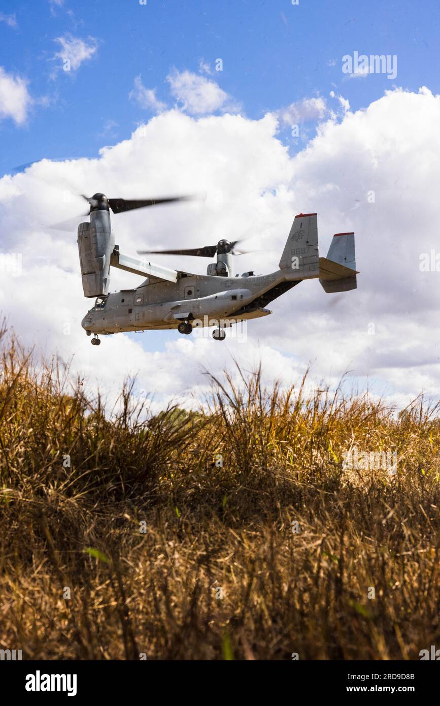 A U.S. Marine Corps MV-22B Osprey tiltrotor aircraft with Marine Medium ...