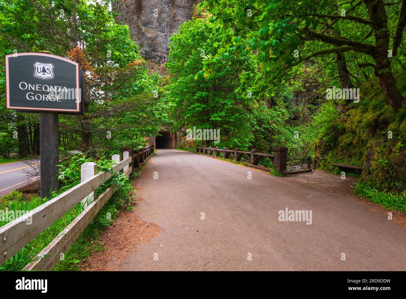 Oneonta Columbia River National Scenic Area, Oregon USA