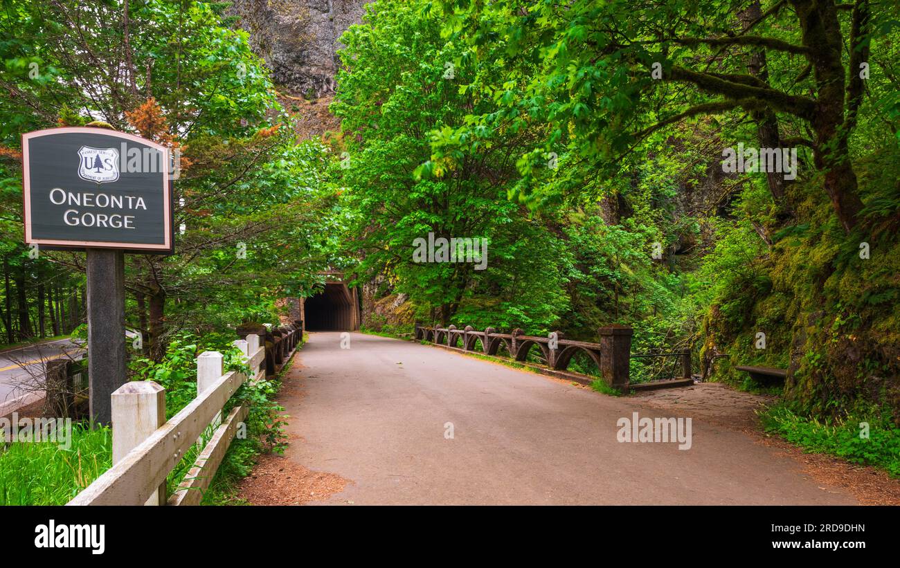 Oneonta Columbia River National Scenic Area, Oregon USA