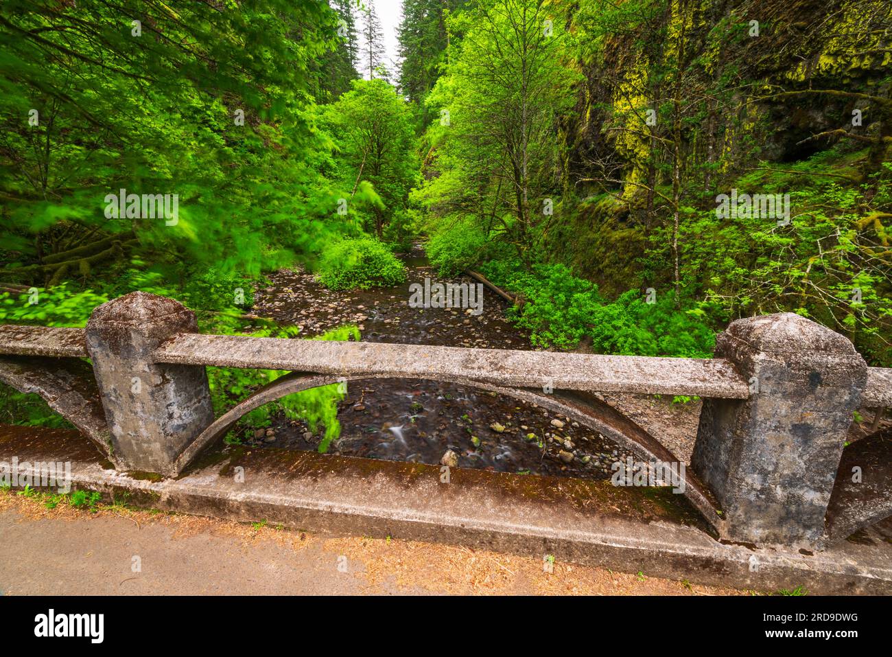 Oneonta Columbia River National Scenic Area, Oregon USA