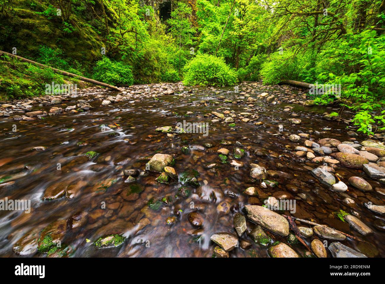 Oneonta Columbia River National Scenic Area, Oregon USA