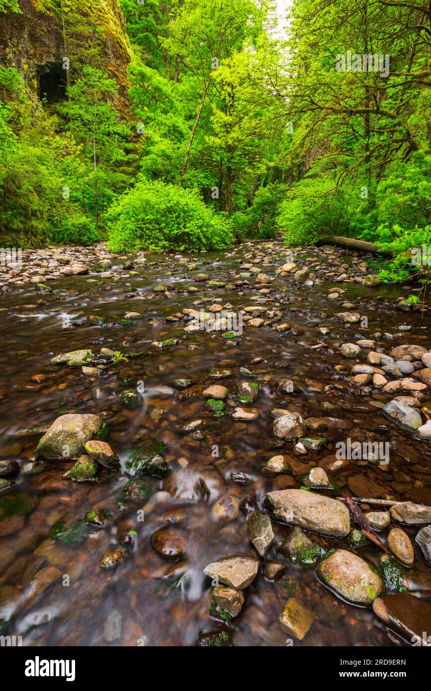 Oneonta Columbia River National Scenic Area, Oregon USA