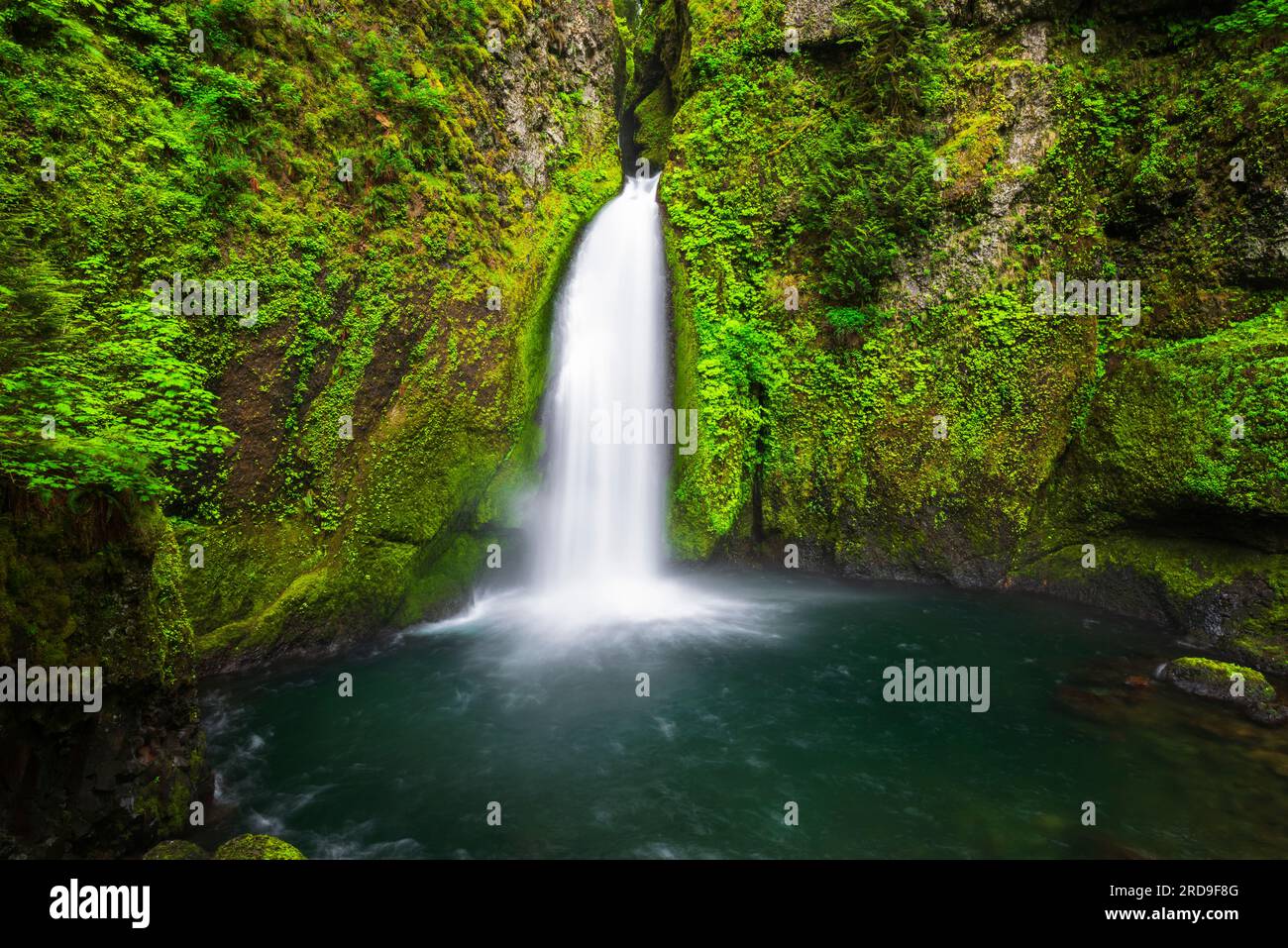 wahclella-falls-columbia-river-gorge-national-scenic-area-oregon-usa