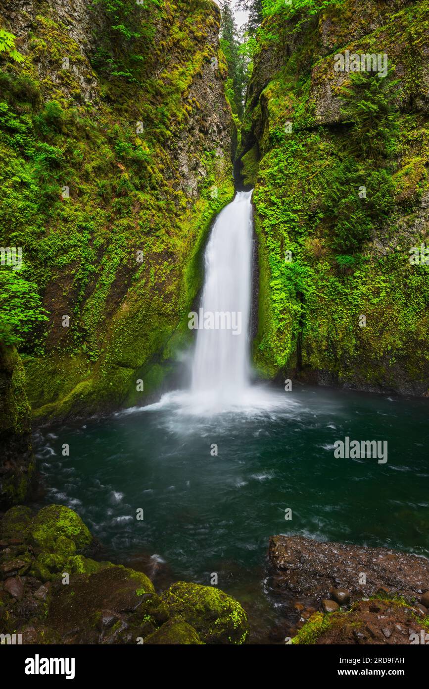 Wahclella Falls Columbia River Gorge National Scenic Area Oregon USA wahclella-falls-columbia-river-gorge-national-scenic-area-oregon-usa