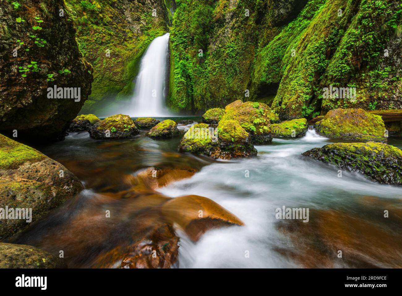 Wahclella Falls Columbia River Gorge National Scenic Area Oregon USA Wahclella Falls Columbia River Gorge National Scenic Area Oregon USA