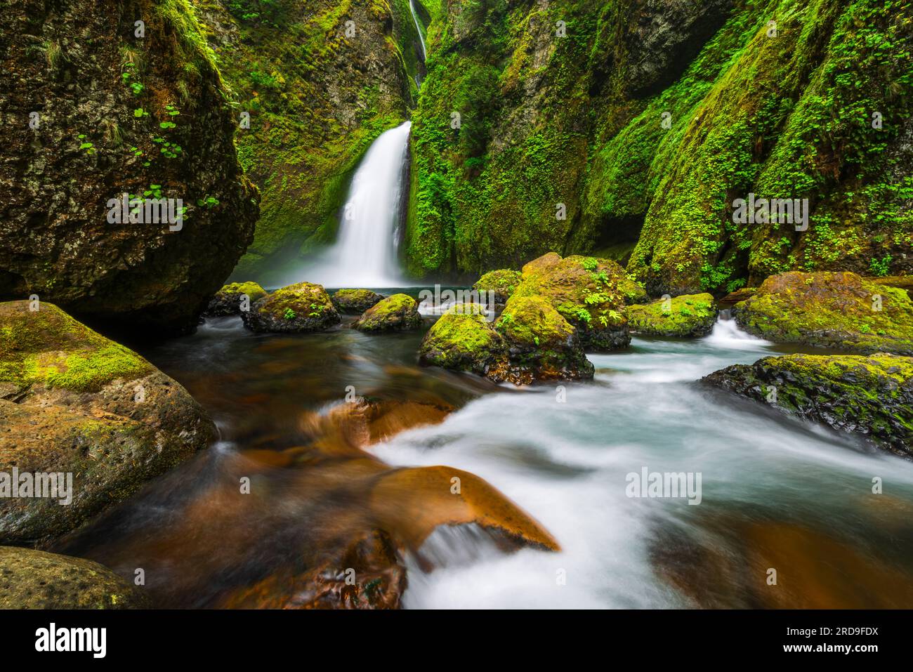 Wahclella Falls Columbia River Gorge National Scenic Area Oregon USA wahclella-falls-columbia-river-gorge-national-scenic-area-oregon-usa