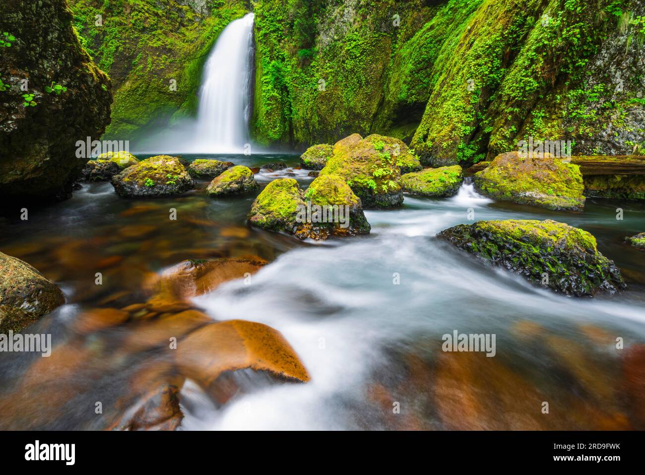 Wahclella Falls Columbia River Gorge National Scenic Area Oregon USA 