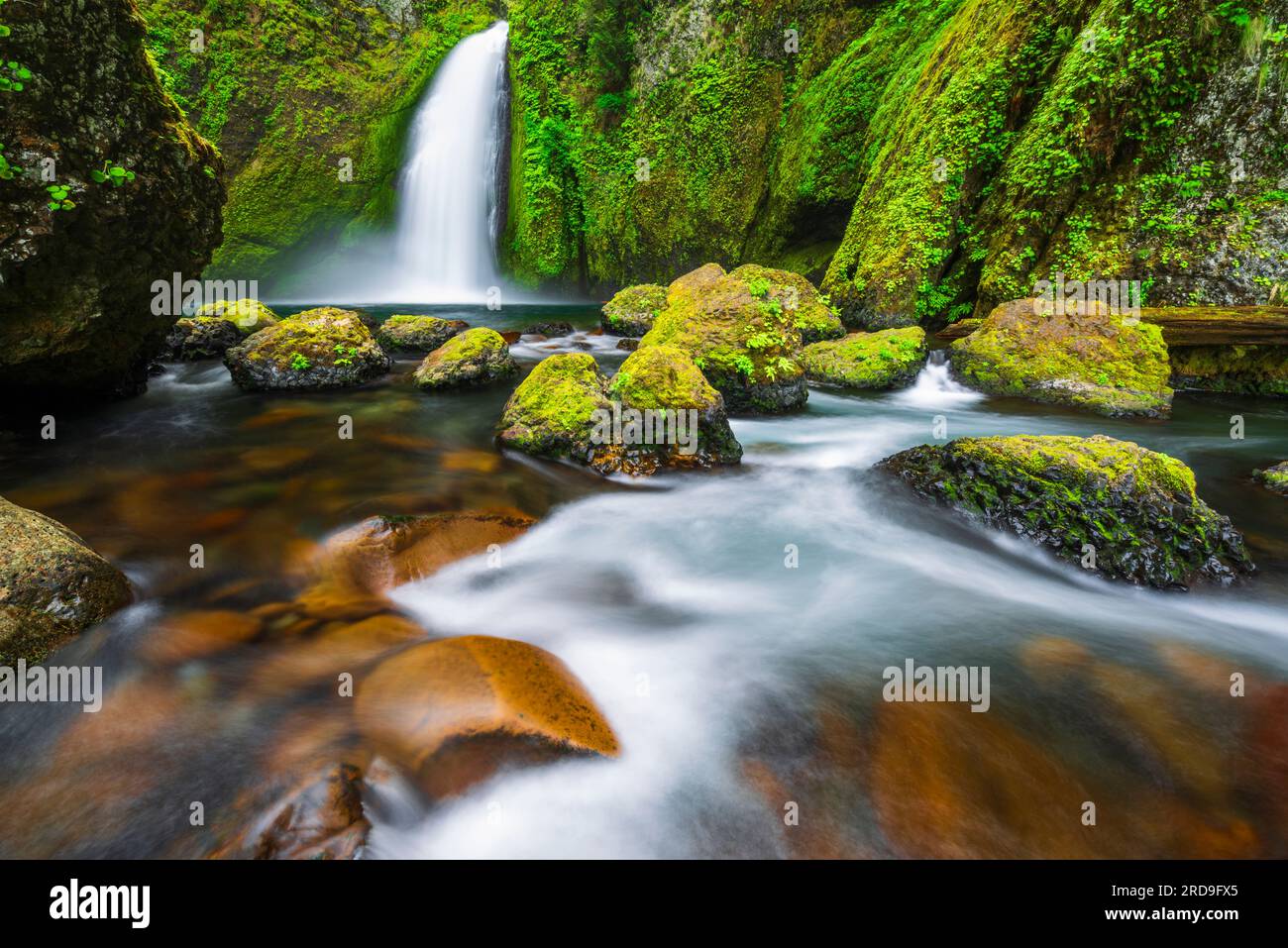 Wahclella Falls, Columbia River Gorge National Scenic Area, Oregon USA Stock Photo