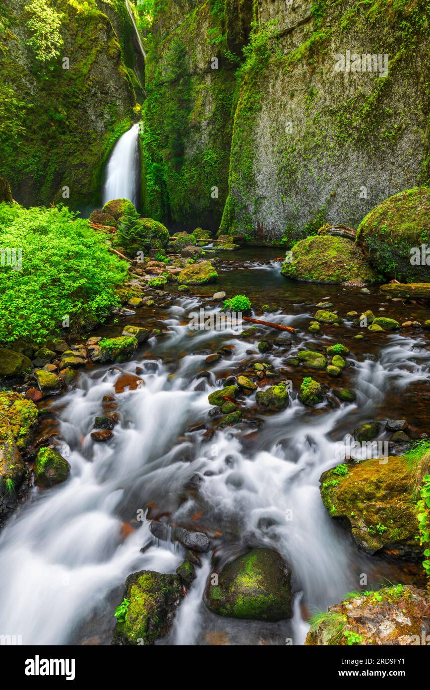 Wahclella Falls Columbia River Gorge National Scenic Area Oregon USA Wahclella Falls Columbia River Gorge National Scenic Area Oregon USA