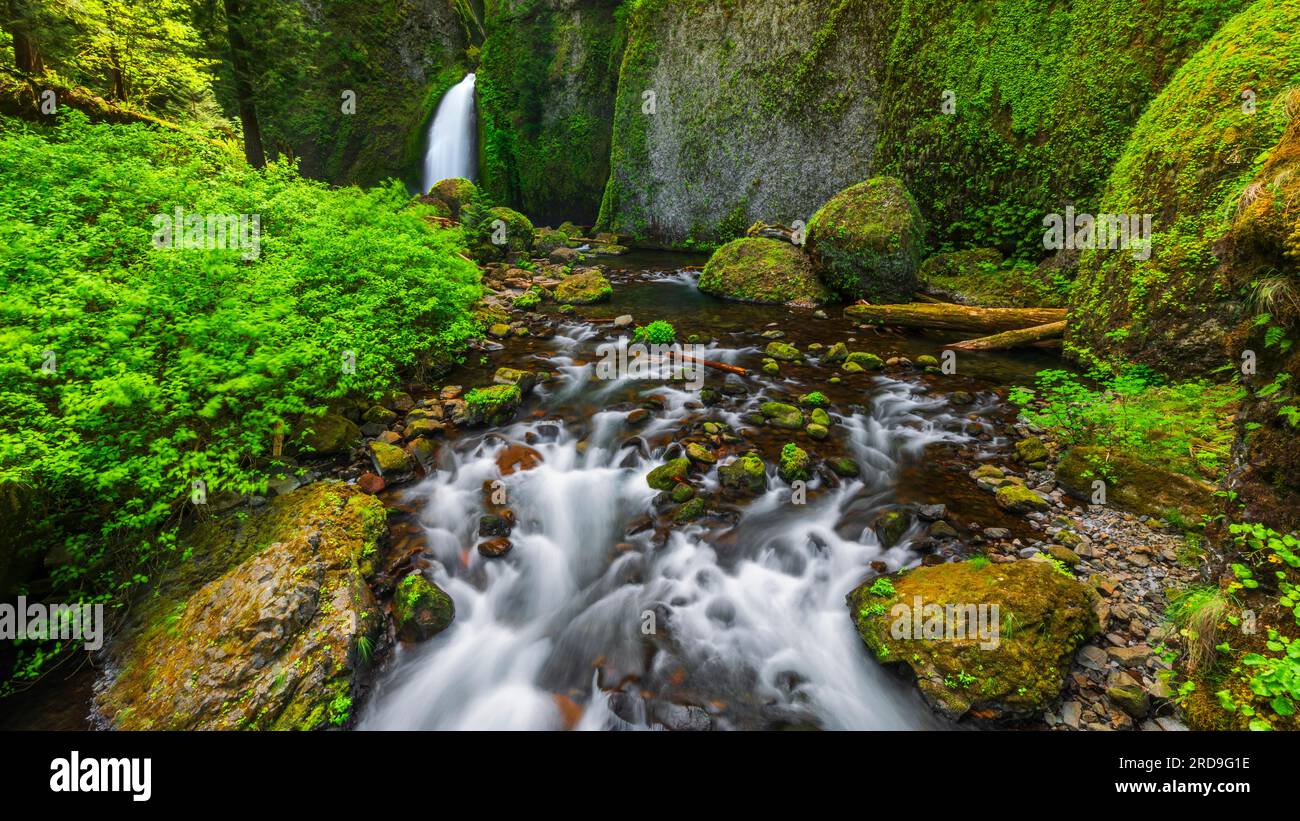 wahclella-falls-columbia-river-gorge-national-scenic-area-oregon-usa