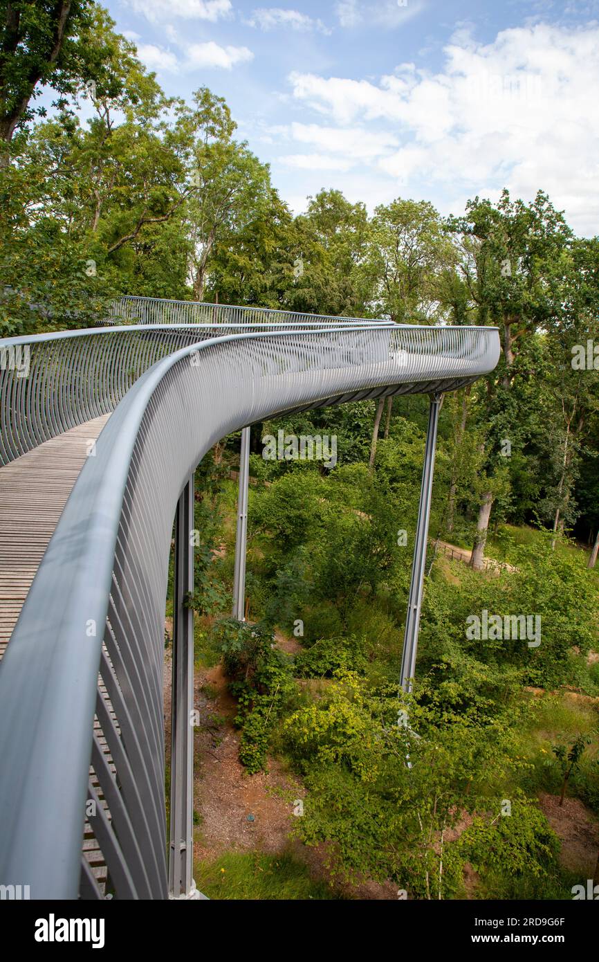 The Viper Elevated Walkway at The Newt, Bruton/Castle Cary Somerset Stock Photo