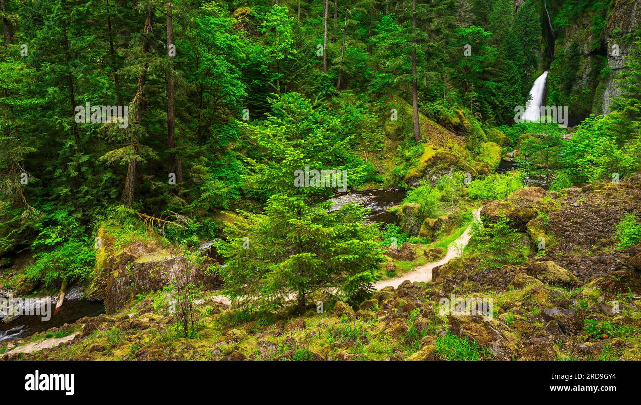 wahclella-falls-columbia-river-gorge-national-scenic-area-oregon-usa