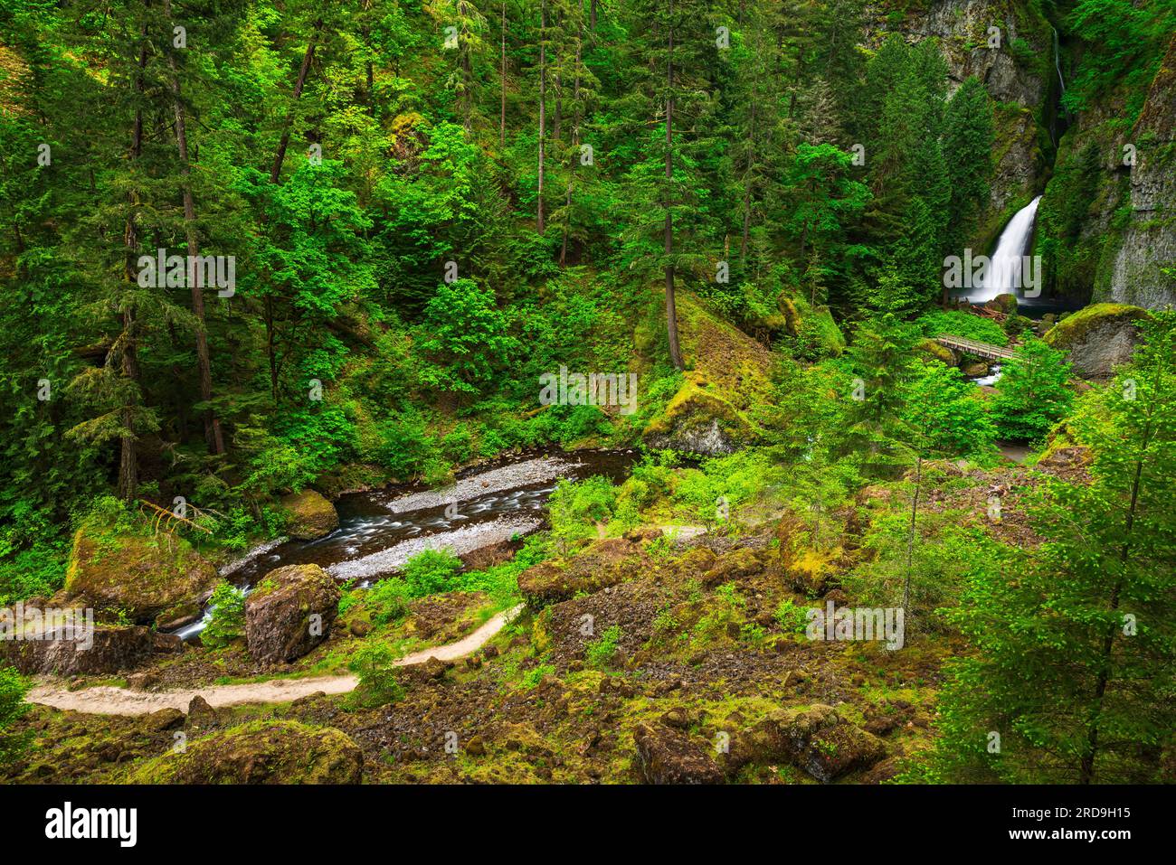 wahclella-falls-columbia-river-gorge-national-scenic-area-oregon-usa
