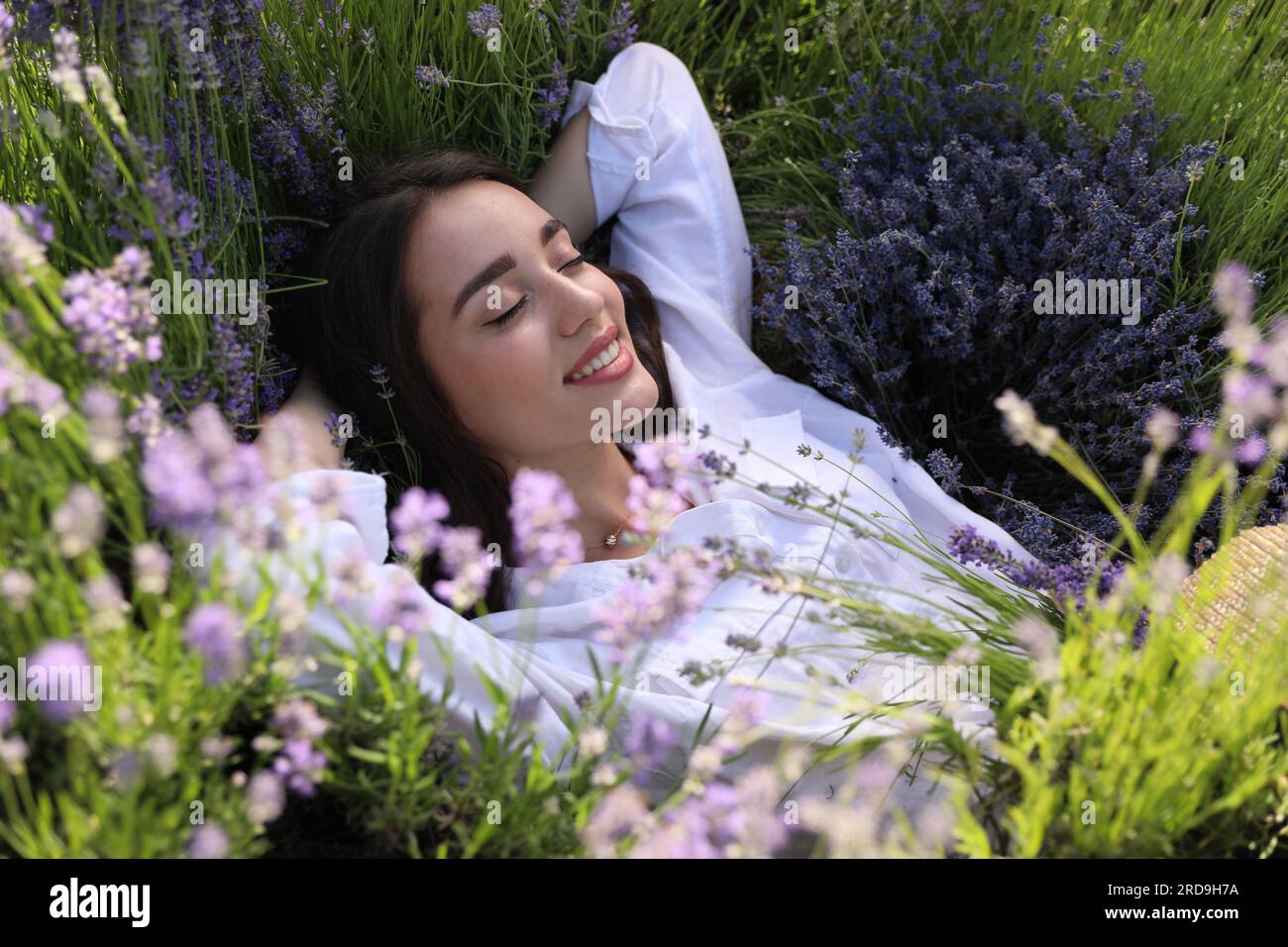 Young woman lying in lavender field on summer day Stock Photo Alamy