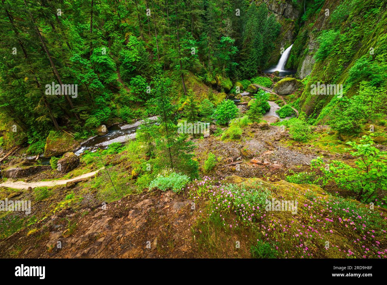 wahclella-falls-columbia-river-gorge-national-scenic-area-oregon-usa