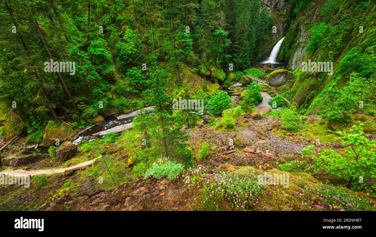 Wahclella Falls Columbia River Gorge National Scenic Area Oregon USA wahclella-falls-columbia-river-gorge-national-scenic-area-oregon-usa