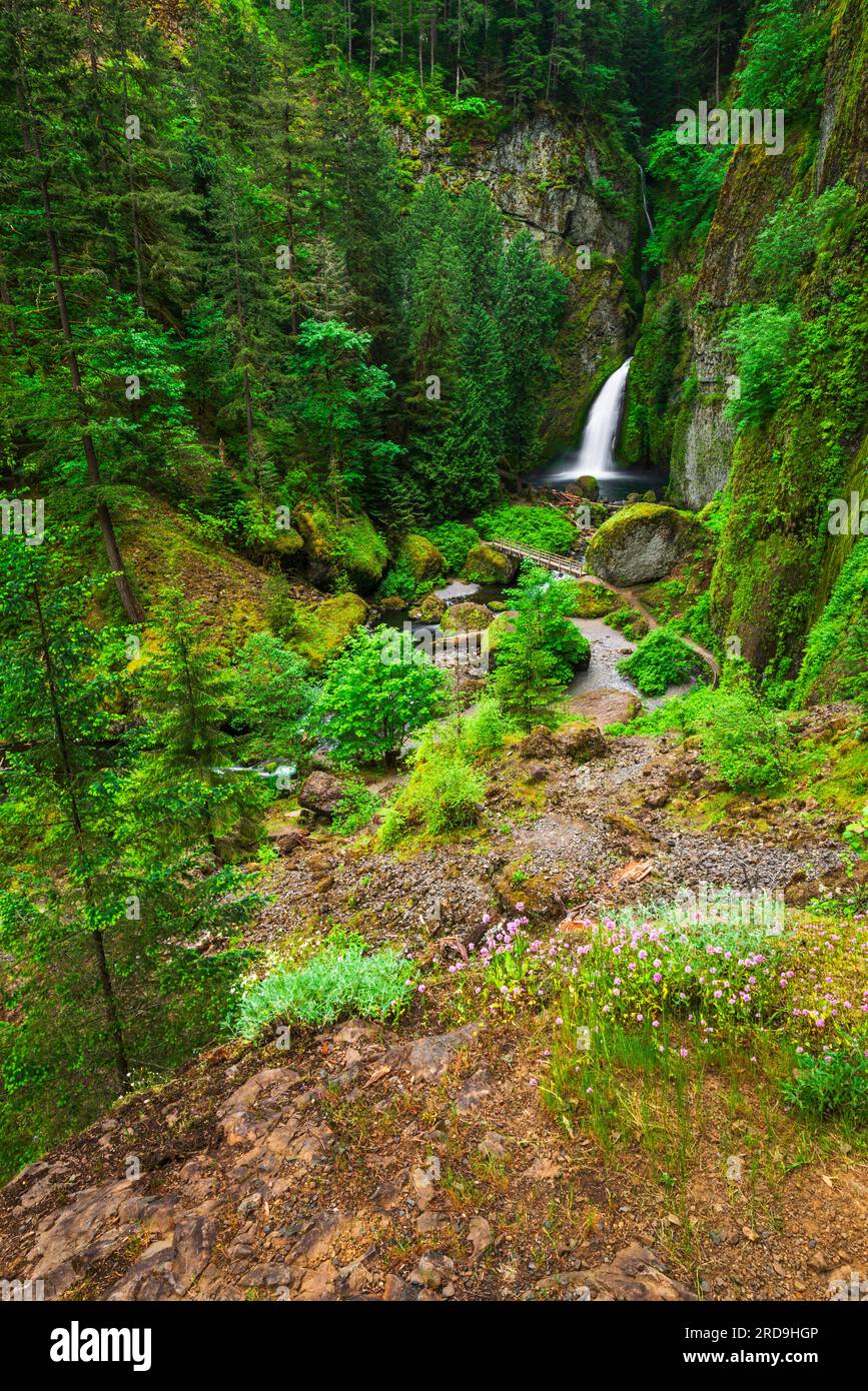 Wahclella Falls, Columbia Rive…