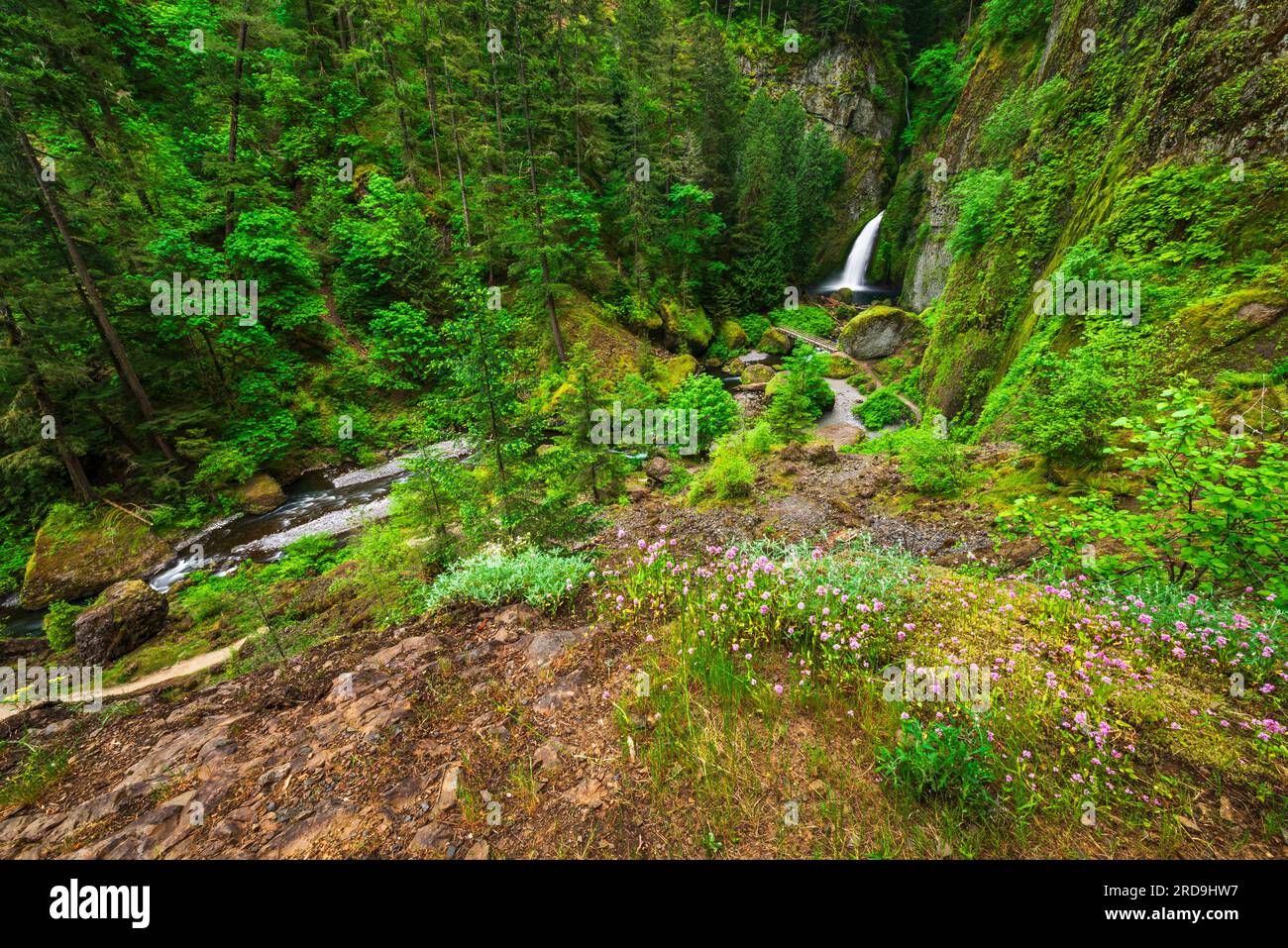 Wahclella Falls Columbia River Gorge National Scenic Area Oregon USA wahclella-falls-columbia-river-gorge-national-scenic-area-oregon-usa