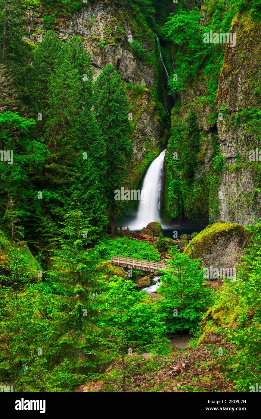 Wahclella Falls Columbia River Gorge National Scenic Area Oregon USA Wahclella Falls Columbia River Gorge National Scenic Area Oregon USA