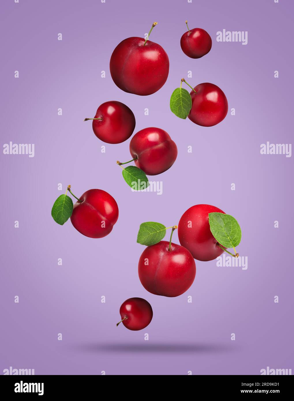 Many fresh cherry plums falling on violet background Stock Photo Alamy