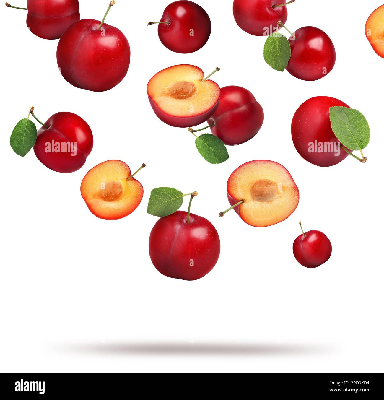Many fresh cherry plums falling on white background Stock Photo Alamy