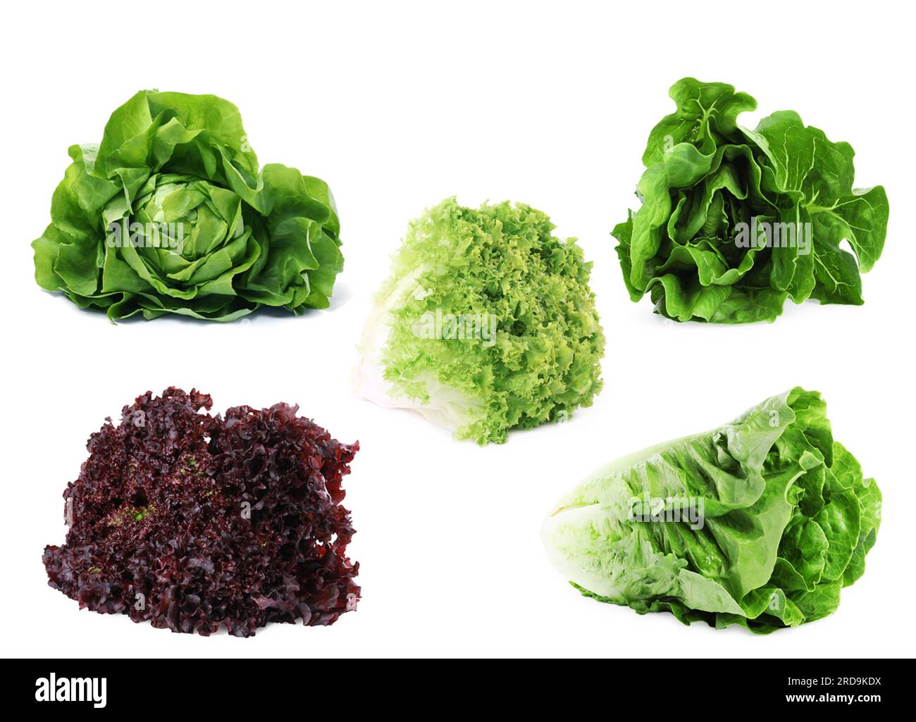 Different types of lettuce isolated on white, collage design Stock