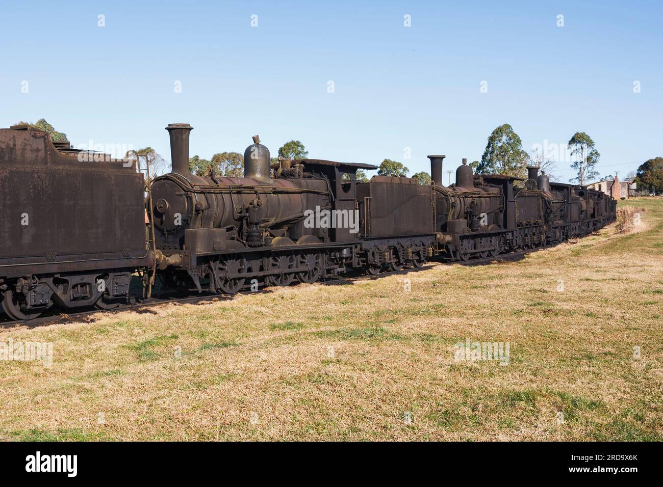 Old trains at the Dorrigo Steam and Railway museum Stock Photo