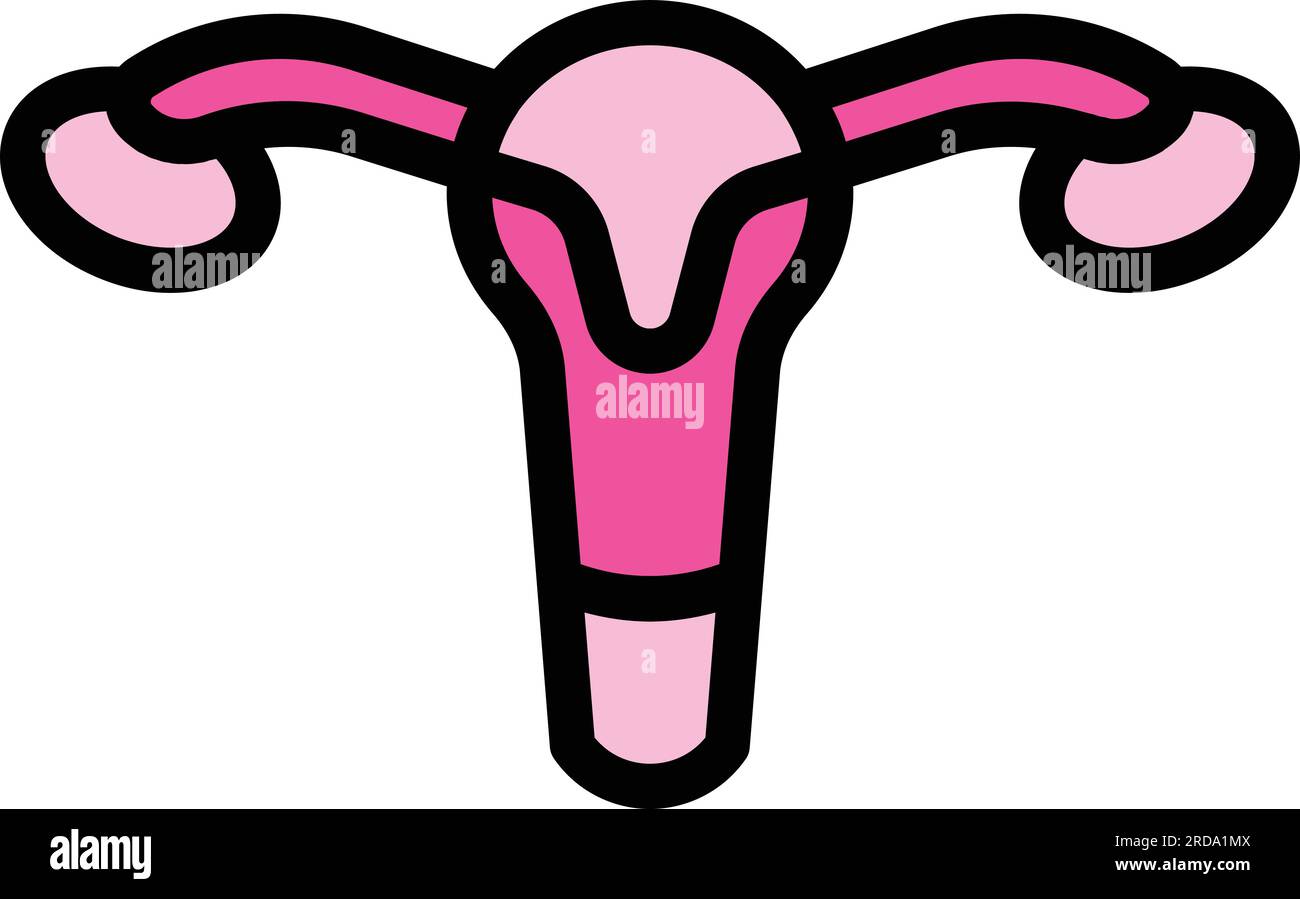 Pelvic exam icon outline vector. Woman health. Cervix consultation