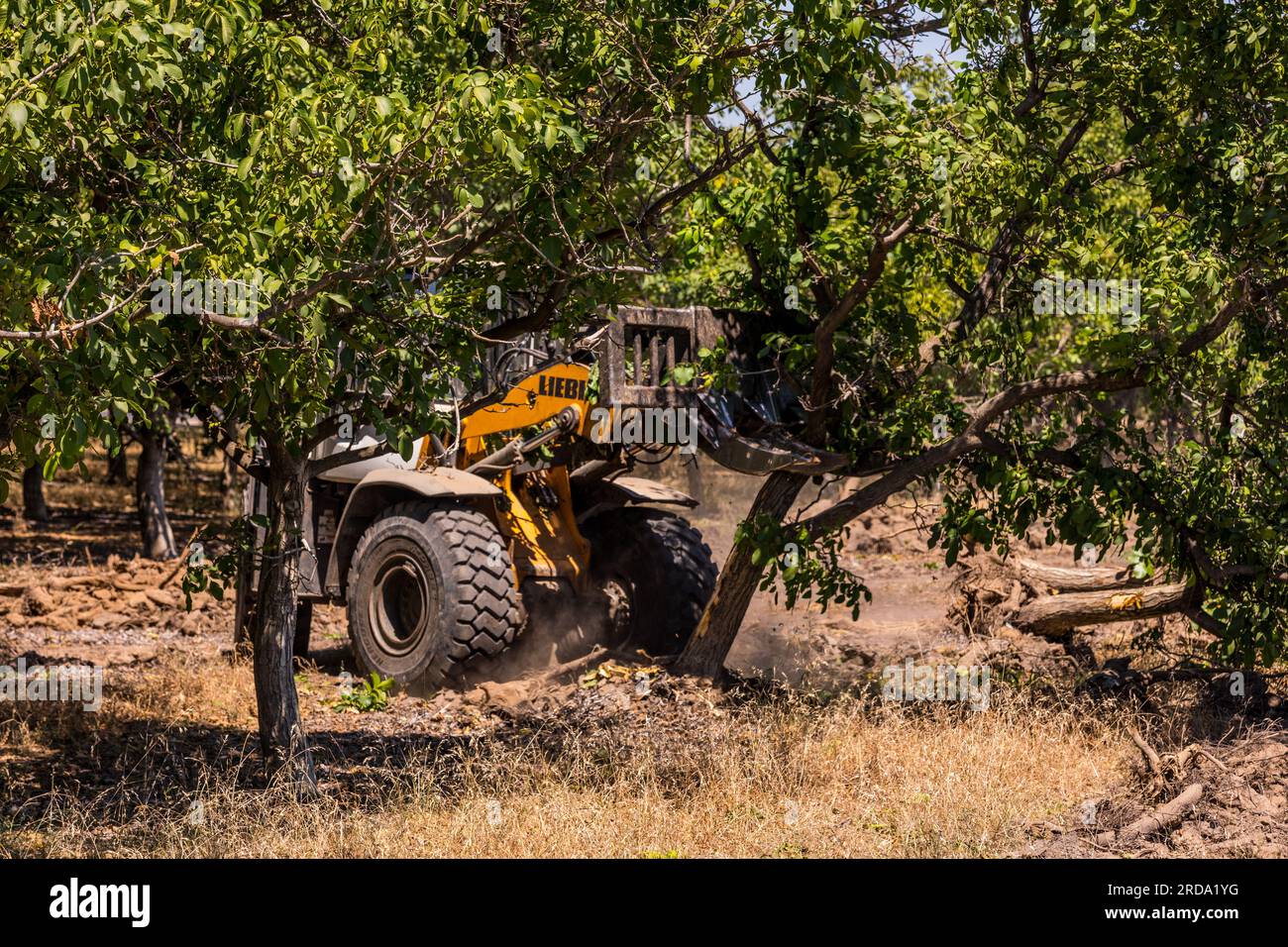 Piece of equipment hi-res stock photography and images - Alamy