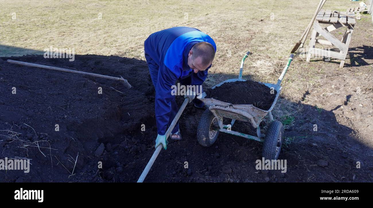 A man works in a vegetable garden in early spring. Digs the ground ...