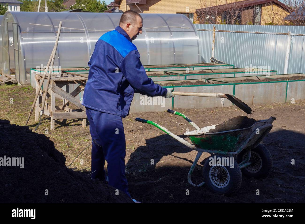 A man works in a vegetable garden in early spring. Digs the ground ...