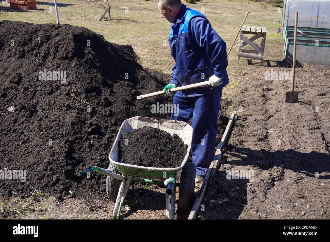 A man works in a vegetable garden in early spring. Digs the ground ...