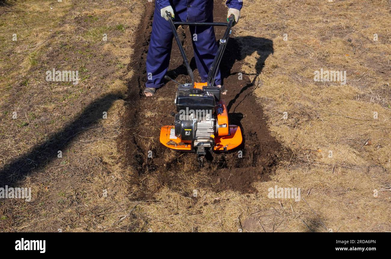 A man works in a vegetable garden in early spring. Digs the ground ...