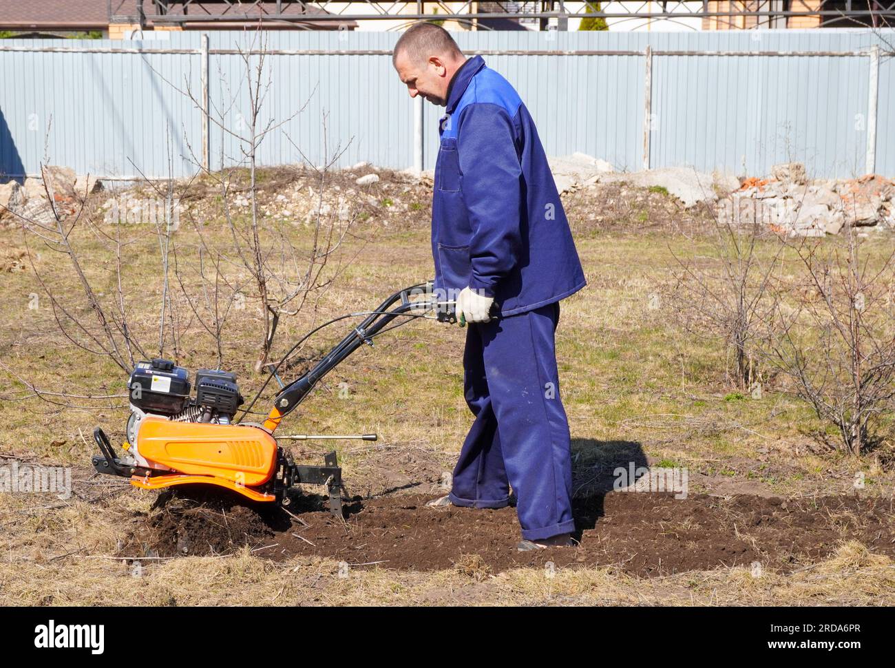 A man works in a vegetable garden in early spring. Digs the ground ...