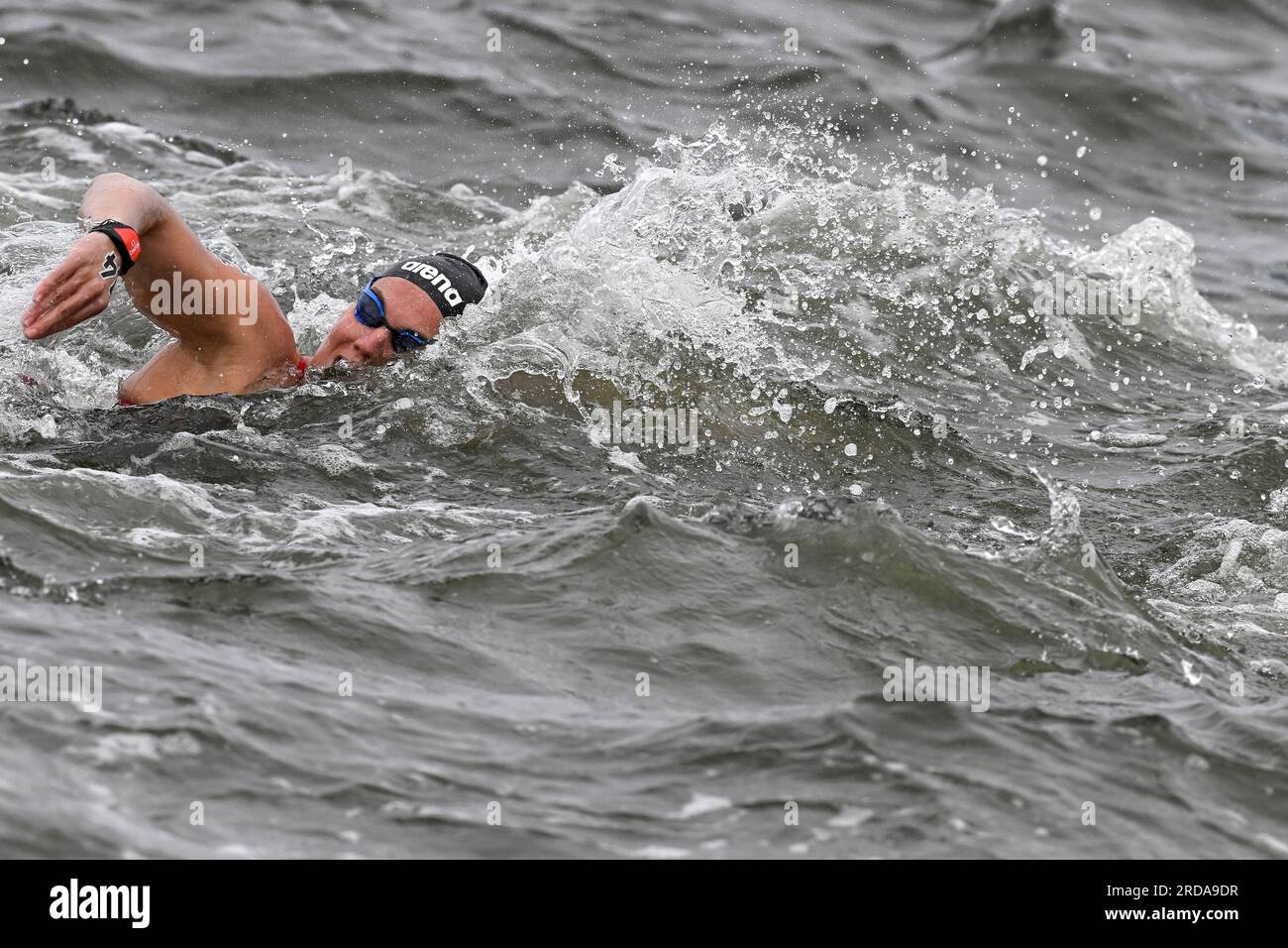 Barbara pozzobon hires stock photography and images Alamy