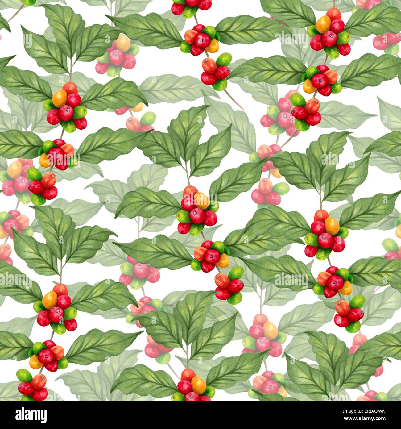 Festive coffee packaging hi-res stock photography and images - Alamy