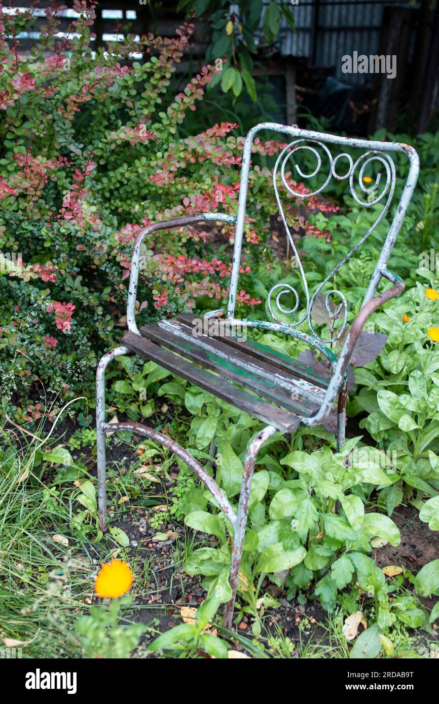 Vintage metal wire chair in a a private spot , next to a berberis