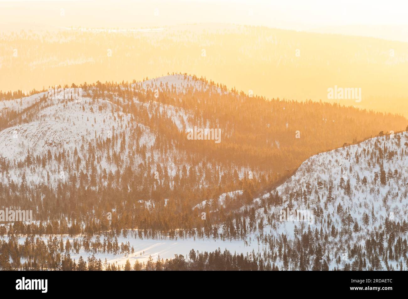 Tranquil winter landscape in Norway: snow-covered trees, mountains, and serene sunset. Stock Photo